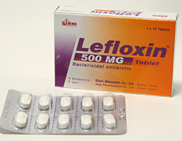 レフロキシン Lefloxin 500mg(クラビットジェネリック) 1シート10錠入り