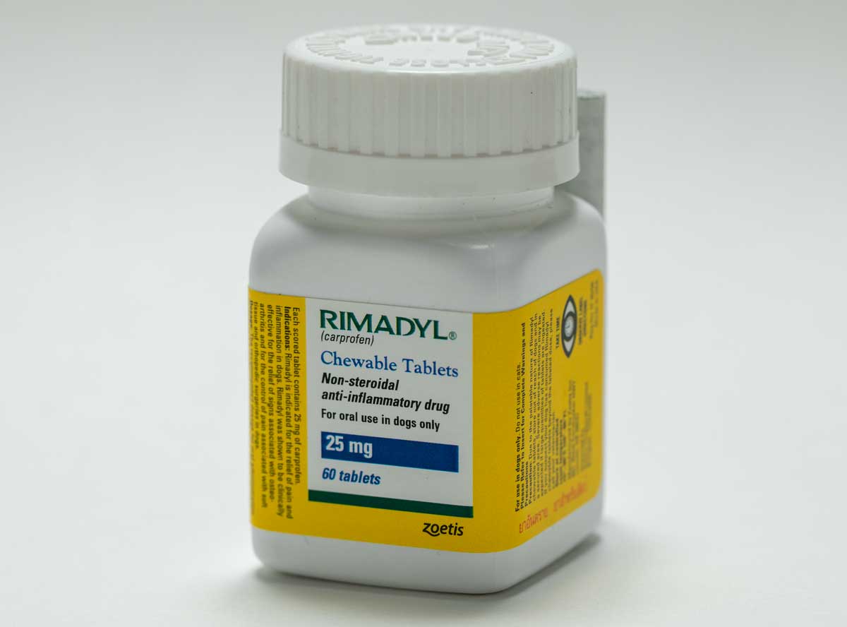 リマダイル25mgボトル入60錠(チュアブル) RIMADYL 25mg 60chewables 1本