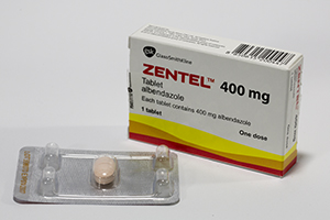 ゼンテル ZENTEL 1錠入り✖️5箱